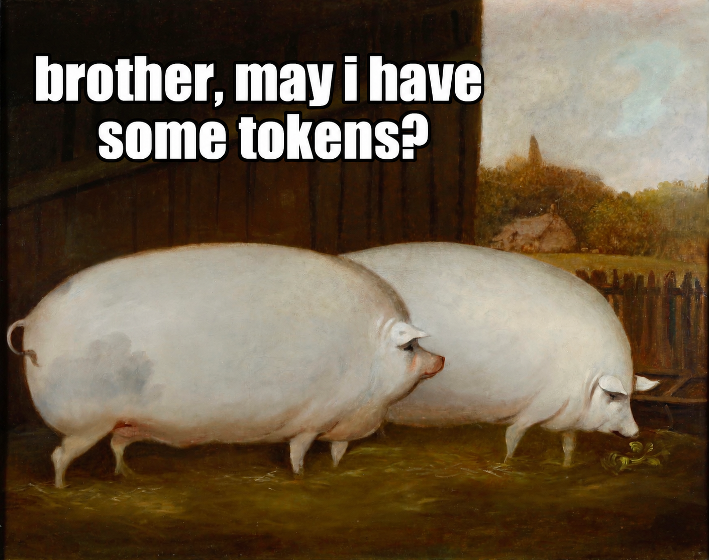 Two pigs with the caption Brother, may I have some tokens?